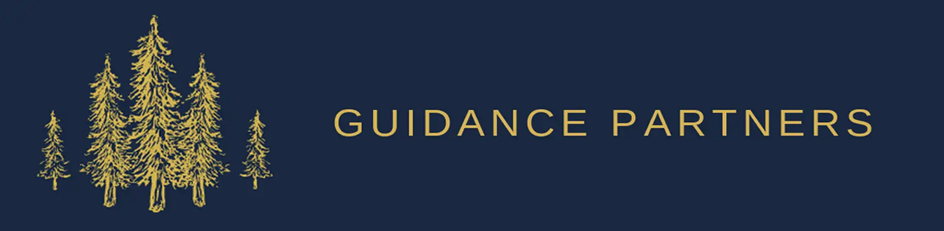Guidance Partners
